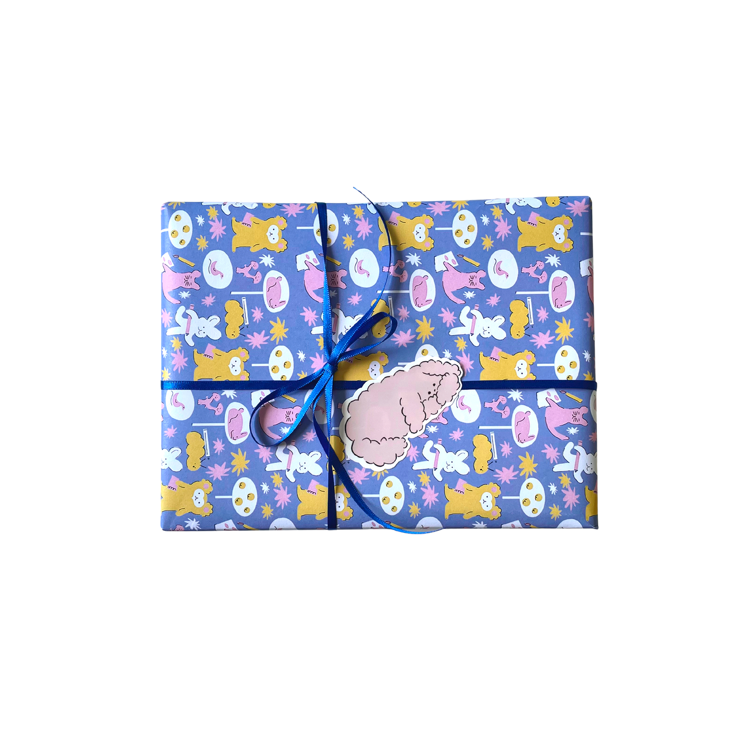 Regalo 5