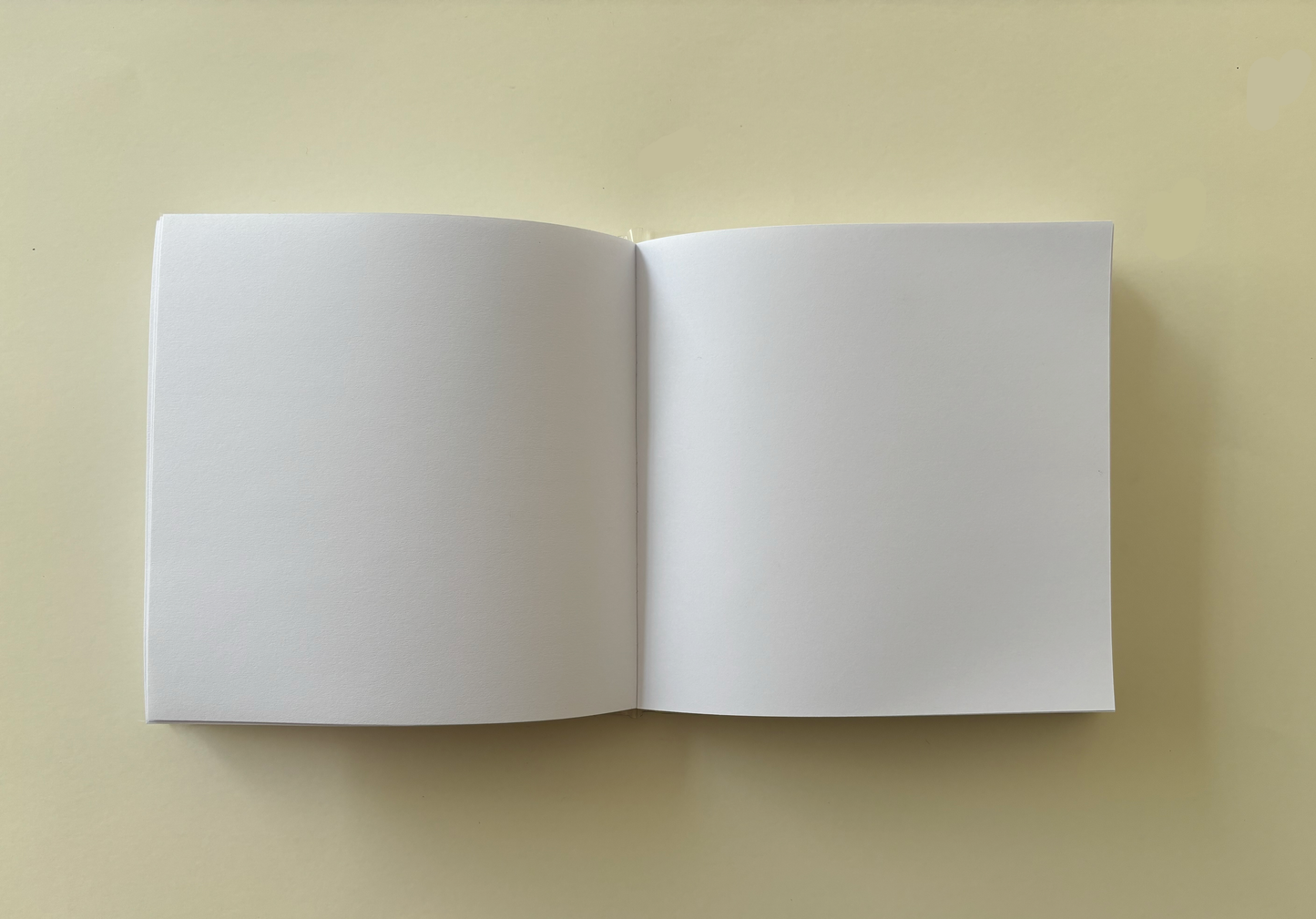 Libreta grande GATOS LEEN